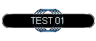 TEST 01